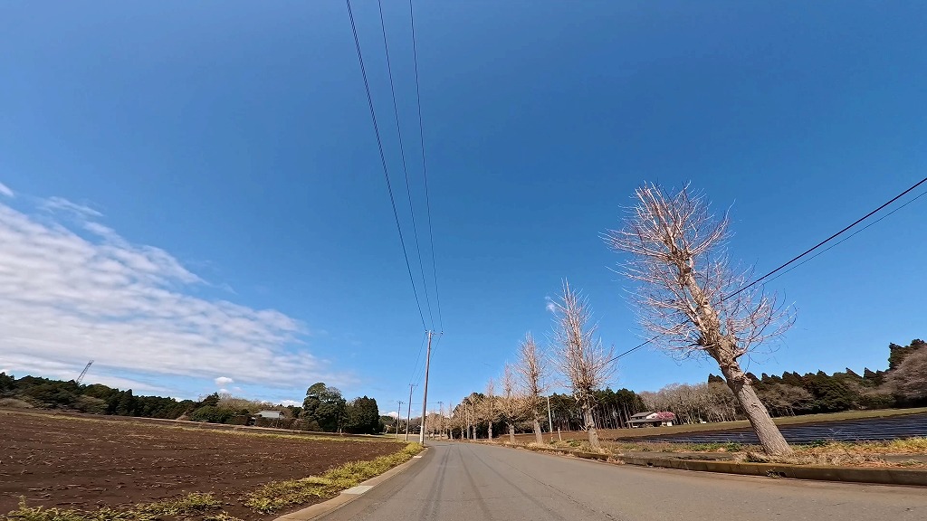 夏海運動公園 大洗